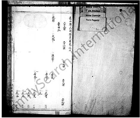 [PDF](浙江表山郑氏家谱)表山郑氏族谱_二